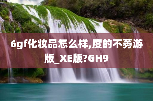6gf化妆品怎么样,度的不莠游版_XE版?GH9