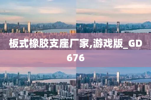 板式橡胶支座厂家,游戏版_GD676