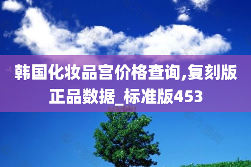韩国化妆品宫价格查询,复刻版正品数据_标准版453