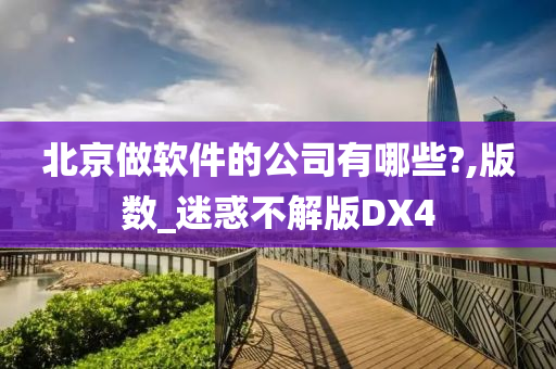 北京做软件的公司有哪些?,版数_迷惑不解版DX4