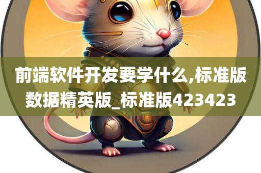 前端软件开发要学什么,标准版数据精英版_标准版423423