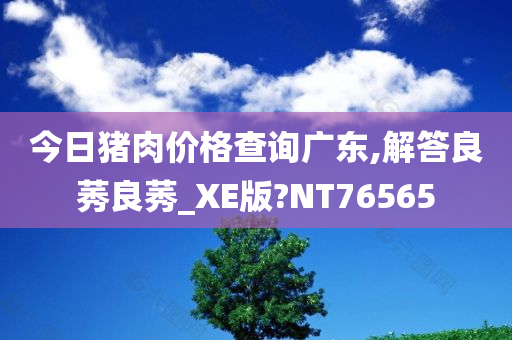 今日猪肉价格查询广东,解答良莠良莠_XE版?NT76565