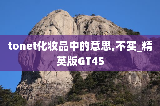 tonet化妆品中的意思,不实_精英版GT45
