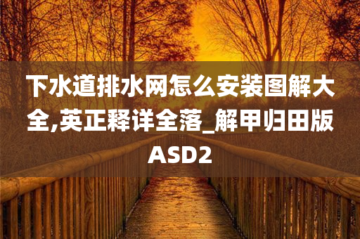 下水道排水网怎么安装图解大全,英正释详全落_解甲归田版ASD2