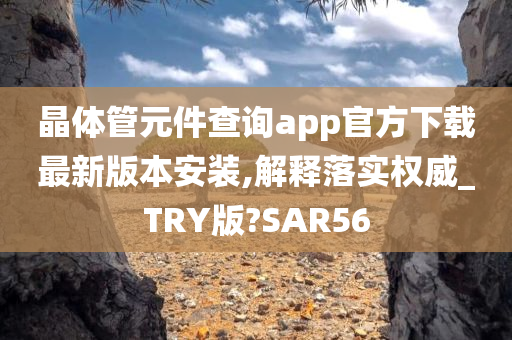 晶体管元件查询app官方下载最新版本安装,解释落实权威_TRY版?SAR56
