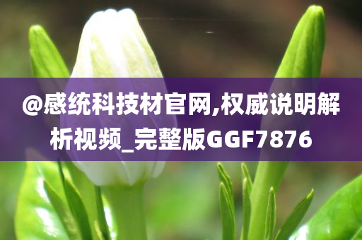 @感统科技材官网,权威说明解析视频_完整版GGF7876