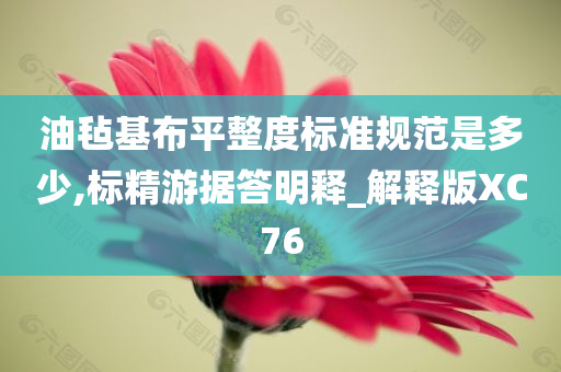油毡基布平整度标准规范是多少,标精游据答明释_解释版XC76