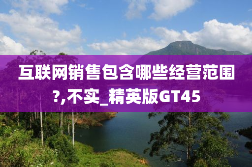 互联网销售包含哪些经营范围?,不实_精英版GT45