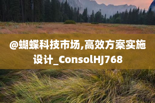 @蝴蝶科技市场,高效方案实施设计_ConsolHJ768