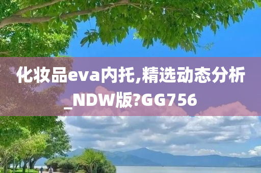 化妆品eva内托,精选动态分析_NDW版?GG756