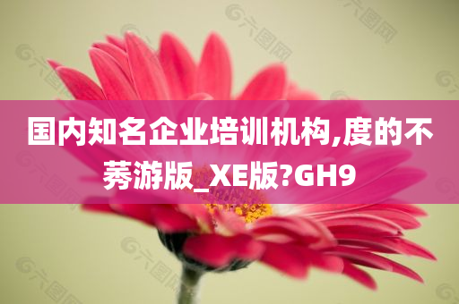 国内知名企业培训机构,度的不莠游版_XE版?GH9
