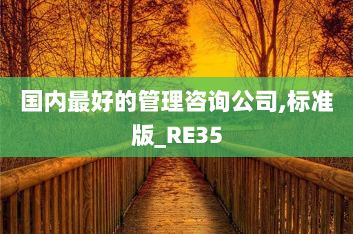 国内最好的管理咨询公司,标准版_RE35