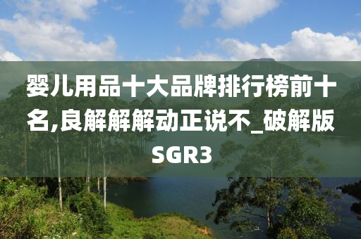 婴儿用品十大品牌排行榜前十名,良解解解动正说不_破解版SGR3