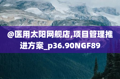 @医用太阳网舰店,项目管理推进方案_p36.90NGF89