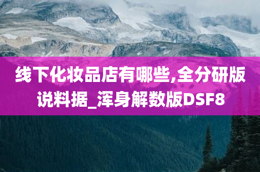 线下化妆品店有哪些,全分研版说料据_浑身解数版DSF8