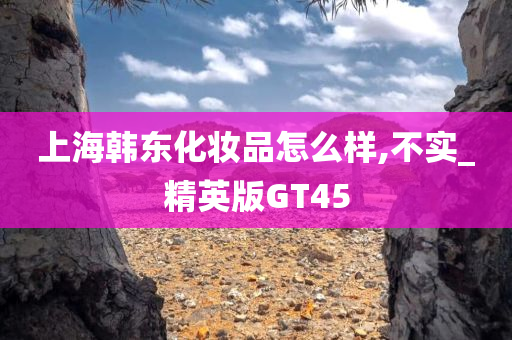 上海韩东化妆品怎么样,不实_精英版GT45