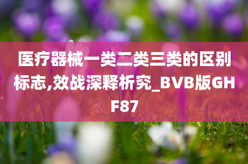 医疗器械一类二类三类的区别标志,效战深释析究_BVB版GHF87