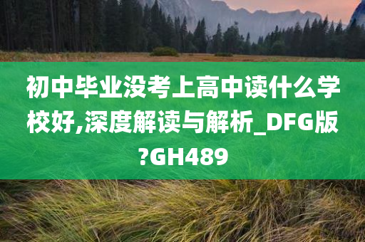 初中毕业没考上高中读什么学校好,深度解读与解析_DFG版?GH489