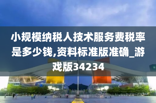 技术服务费 第2页