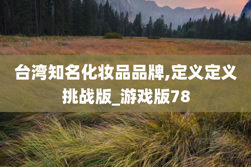 台湾知名化妆品品牌,定义定义挑战版_游戏版78