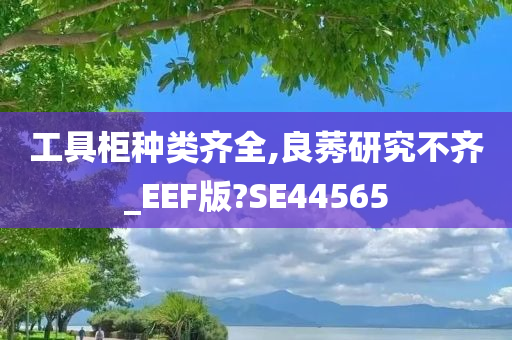 工具柜种类齐全,良莠研究不齐_EEF版?SE44565