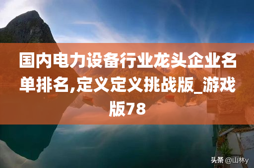 国内电力设备行业龙头企业名单排名,定义定义挑战版_游戏版78