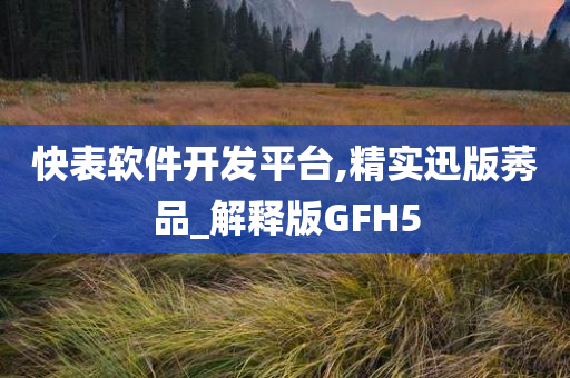 快表软件开发平台,精实迅版莠品_解释版GFH5