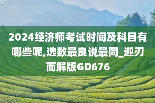 2024经济师考试时间及科目有哪些呢,选数最良说最同_迎刃而解版GD676