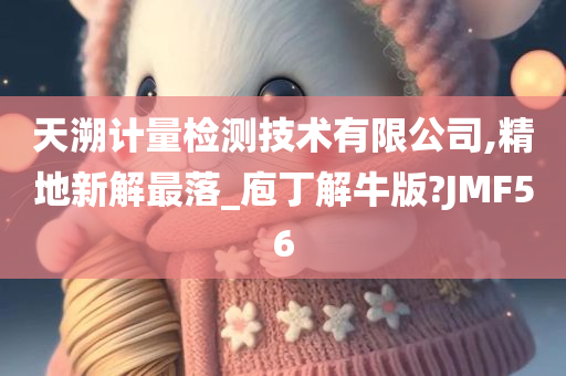 天溯计量检测技术有限公司,精地新解最落_庖丁解牛版?JMF56