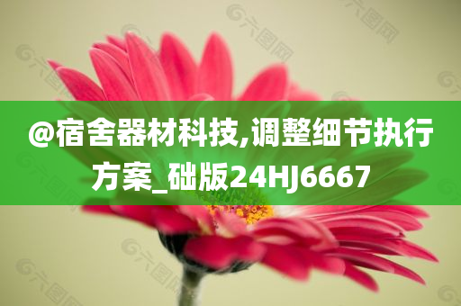 @宿舍器材科技,调整细节执行方案_础版24HJ6667