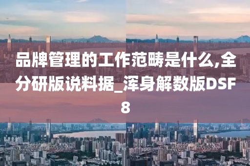 品牌管理的工作范畴是什么,全分研版说料据_浑身解数版DSF8