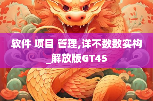 软件 项目 管理,详不数数实构_解放版GT45