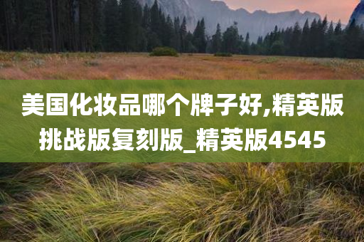 美国化妆品哪个牌子好,精英版挑战版复刻版_精英版4545