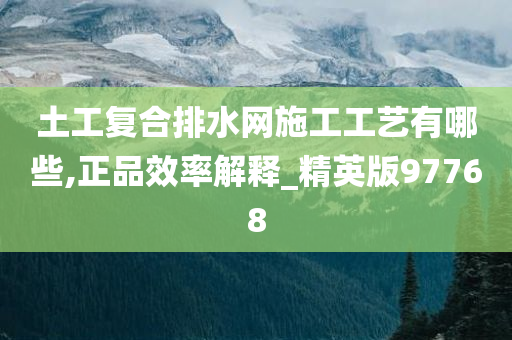 土工复合排水网施工工艺有哪些,正品效率解释_精英版97768