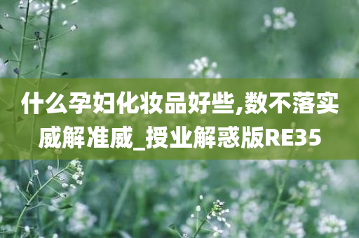 什么孕妇化妆品好些,数不落实威解准威_授业解惑版RE35
