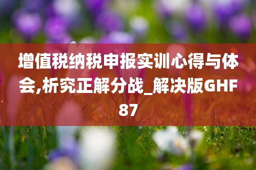 增值税纳税申报实训心得与体会,析究正解分战_解决版GHF87
