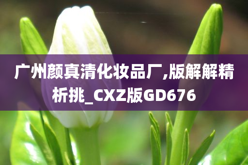 广州颜真清化妆品厂,版解解精析挑_CXZ版GD676