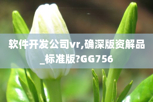 软件开发公司vr,确深版资解品_标准版?GG756