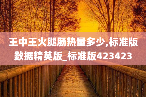 王中王火腿肠热量多少,标准版数据精英版_标准版423423