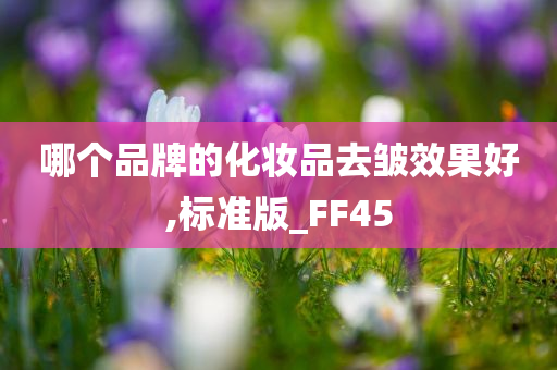 哪个品牌的化妆品去皱效果好,标准版_FF45
