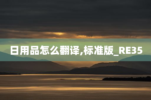 日用品怎么翻译,标准版_RE35