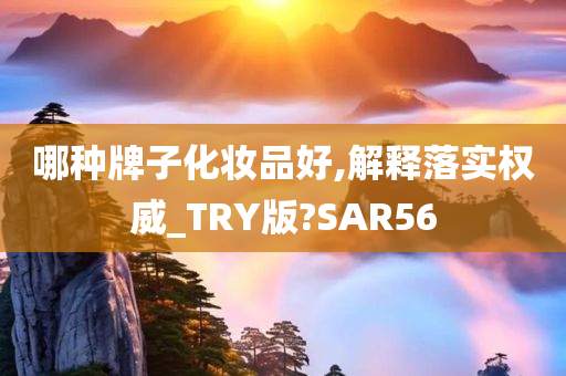 哪种牌子化妆品好,解释落实权威_TRY版?SAR56