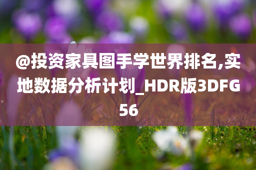 @投资家具图手学世界排名,实今晚必出三肖2025_2025新澳门精准免费提供·精确判断地数据分析计划_HDR版3DFG56