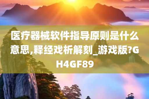 医疗器械软件指导原则是什么意思,释经戏析解刻_游戏版?GH4GF89
