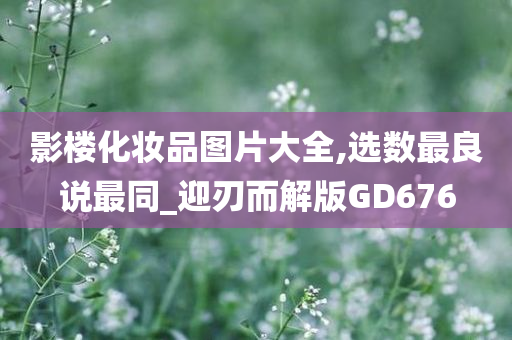 影楼化妆品图片大全,选数最良说最同_迎刃而解版GD676