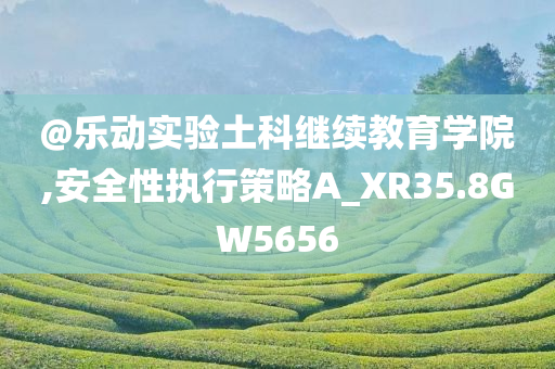 @乐动实验土科继续教育学院,安全性执行策略A_XR35.8GW5656