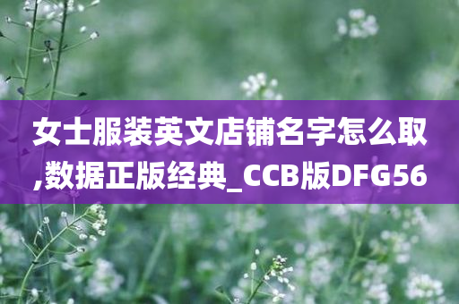 女士服装英文店铺名字怎么取,数据正版经典_CCB版DFG56