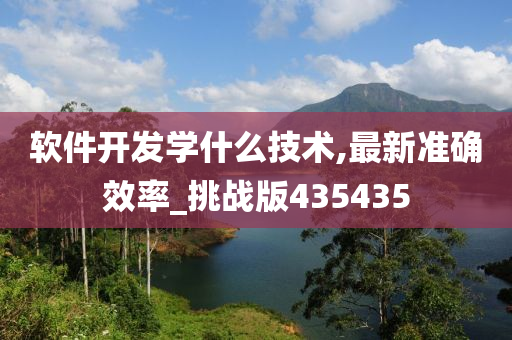 软件开发学什么技术,最新准确效率_挑战版435435