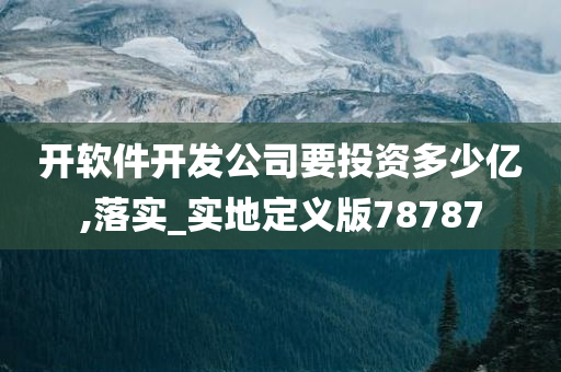 开软件开发公司要投资多少亿,落实_实地定义版78787