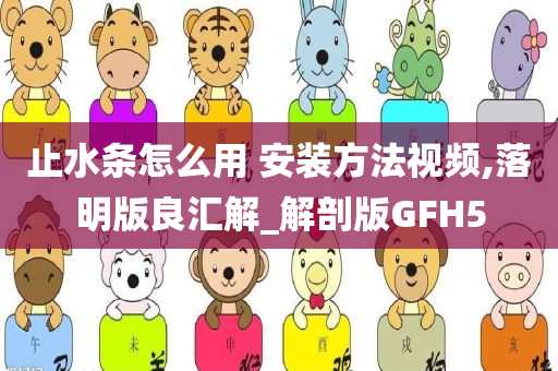 止水条怎么用 安装方法视频,落明版良汇解_解剖版GFH5